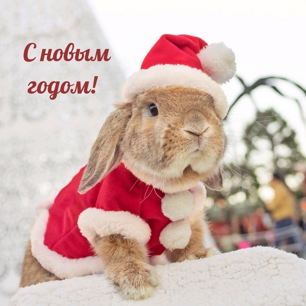 С Новым Годом!